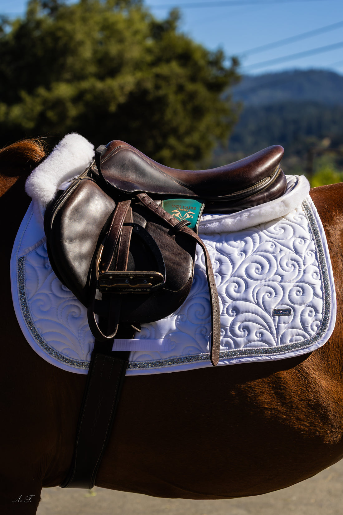 Fairytale Stardust Dressage Pad - White