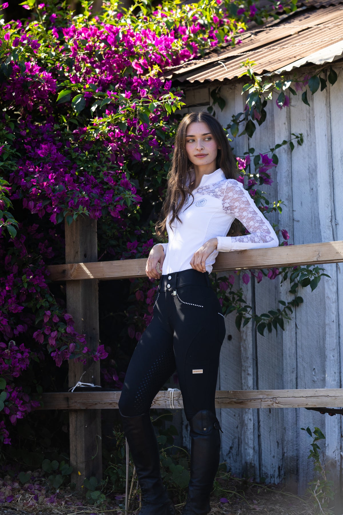 Fairytale Belle Full- Seat Breeches