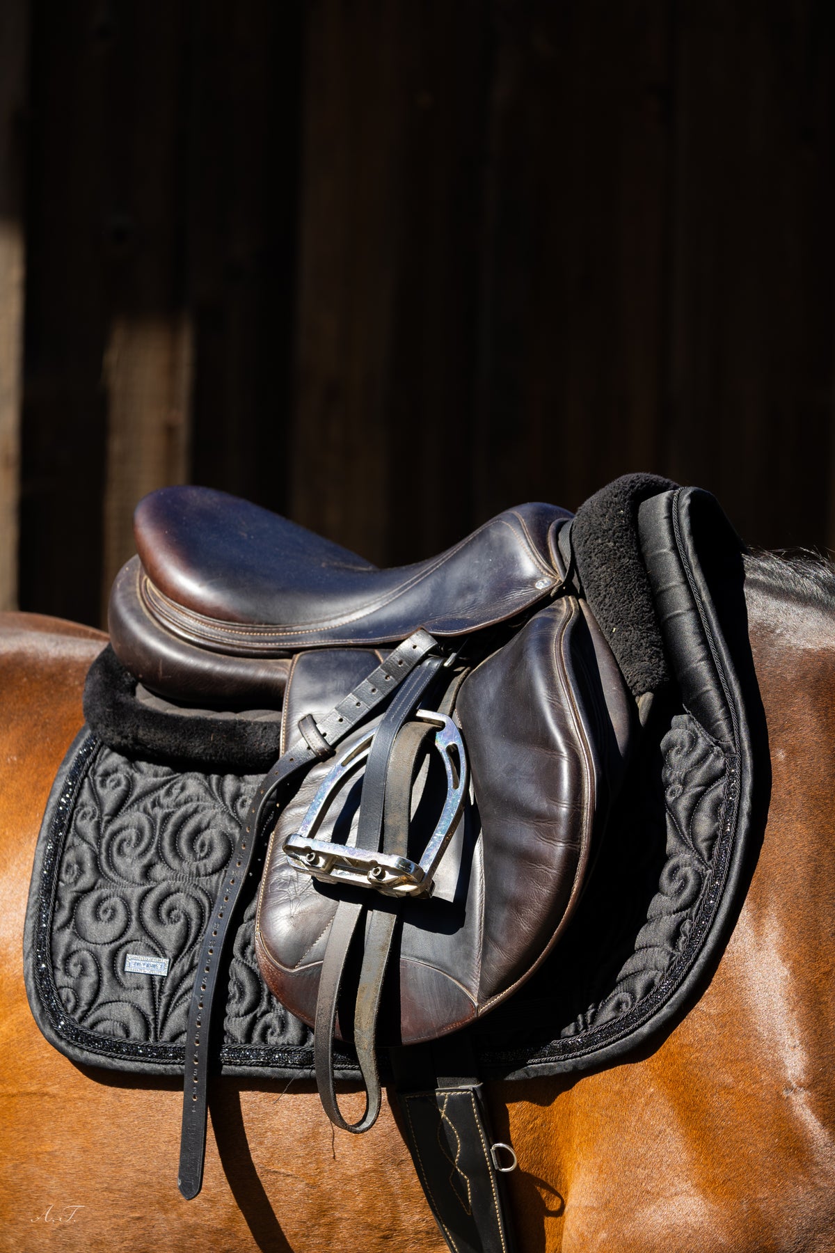 Fairytale Stardust Jumping Pad - Black