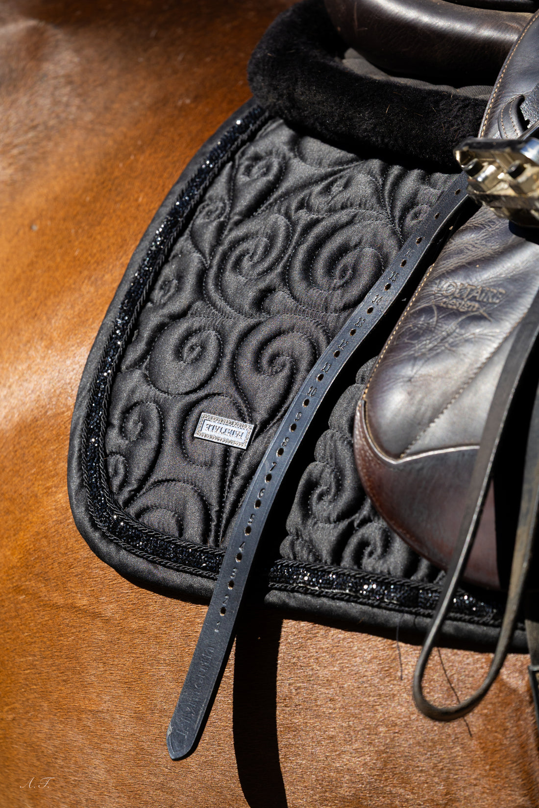 Fairytale Stardust Dressage Pad - Black