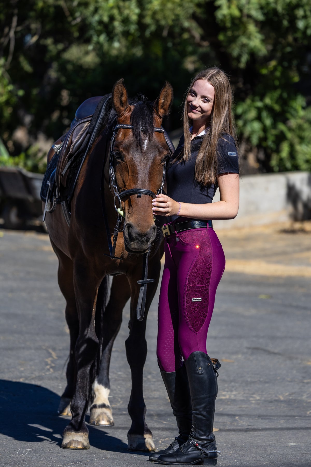 Fairytale Regal Breeches - Wine