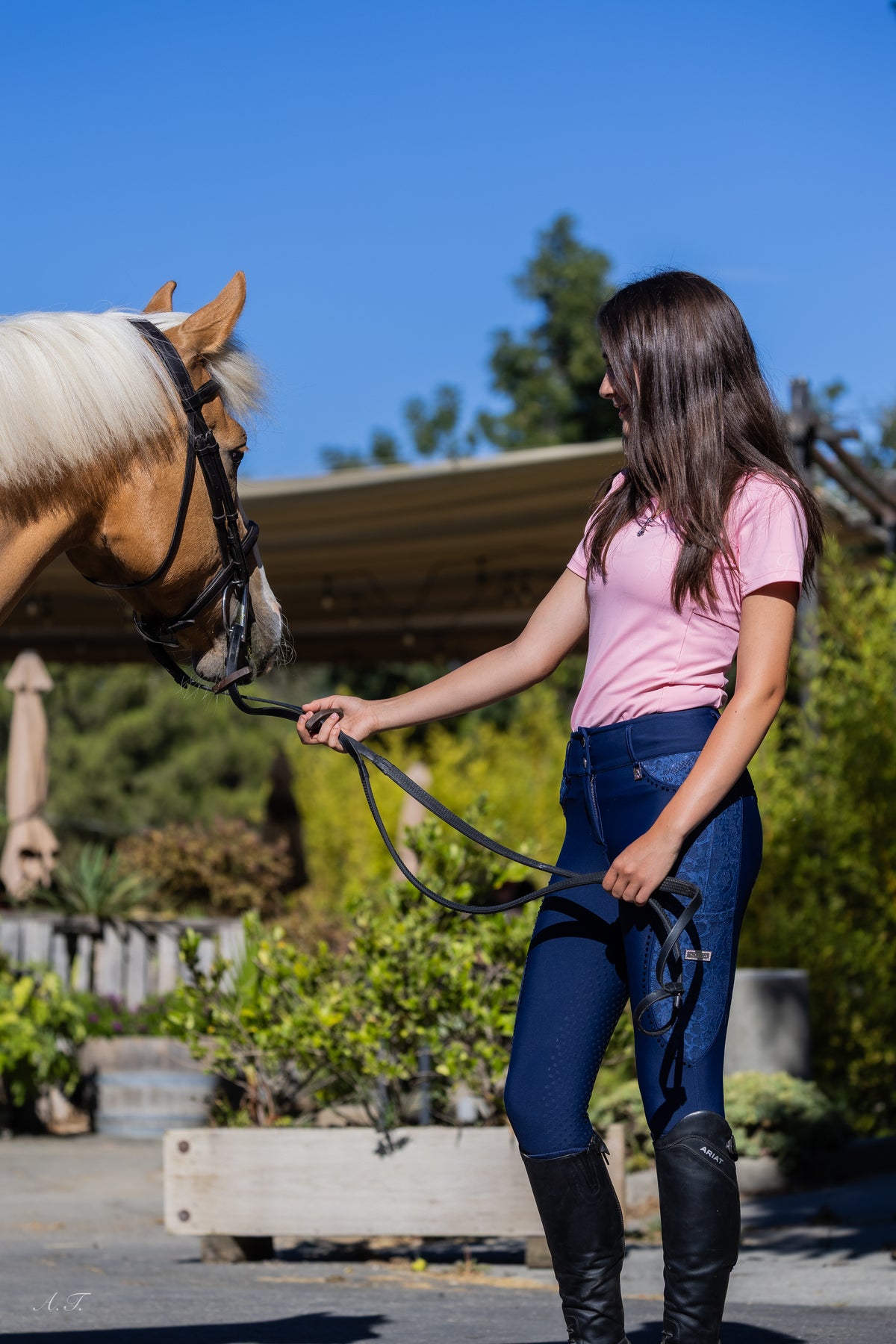 Fairytale Regal Breeches - Navy