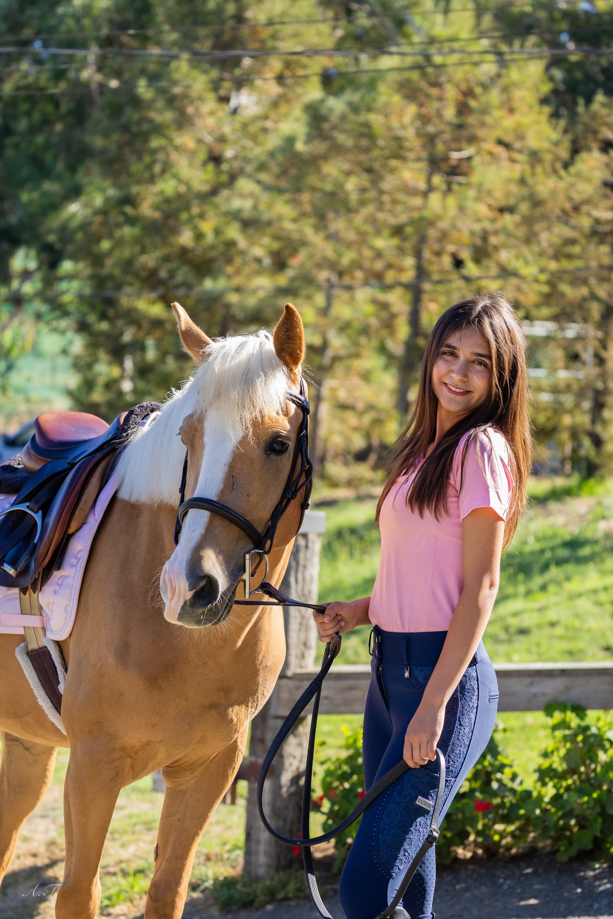 Fairytale Regal Breeches - Navy