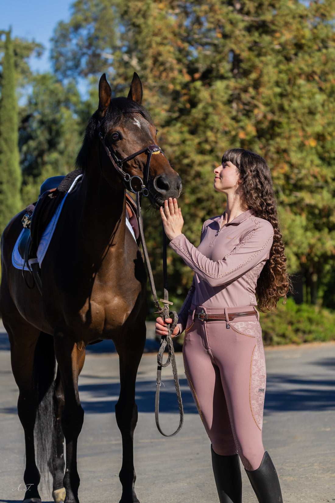 Fairytale Regal Breeches- Dusty Rose