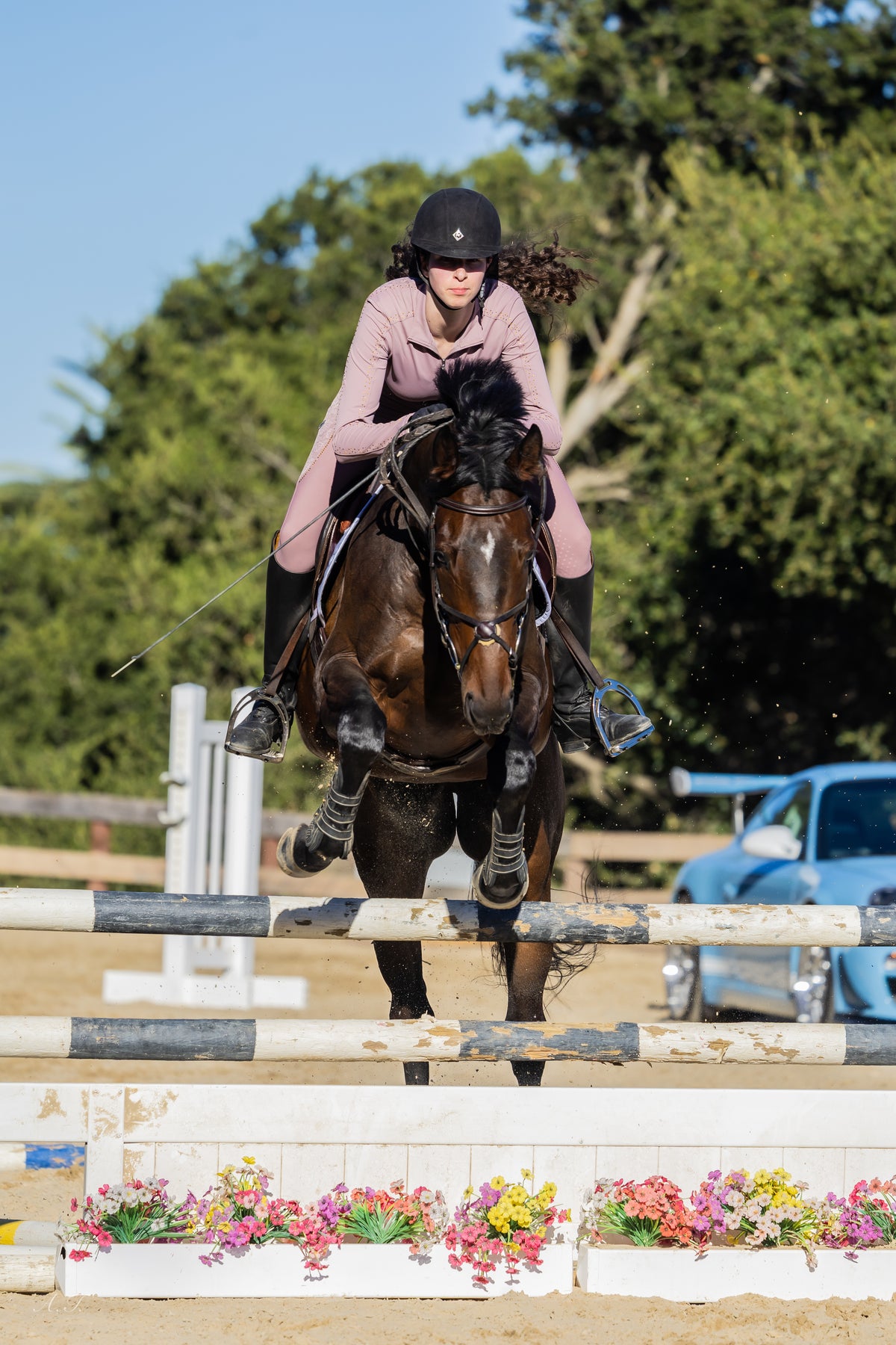 Fairytale Regal Breeches- Dusty Rose