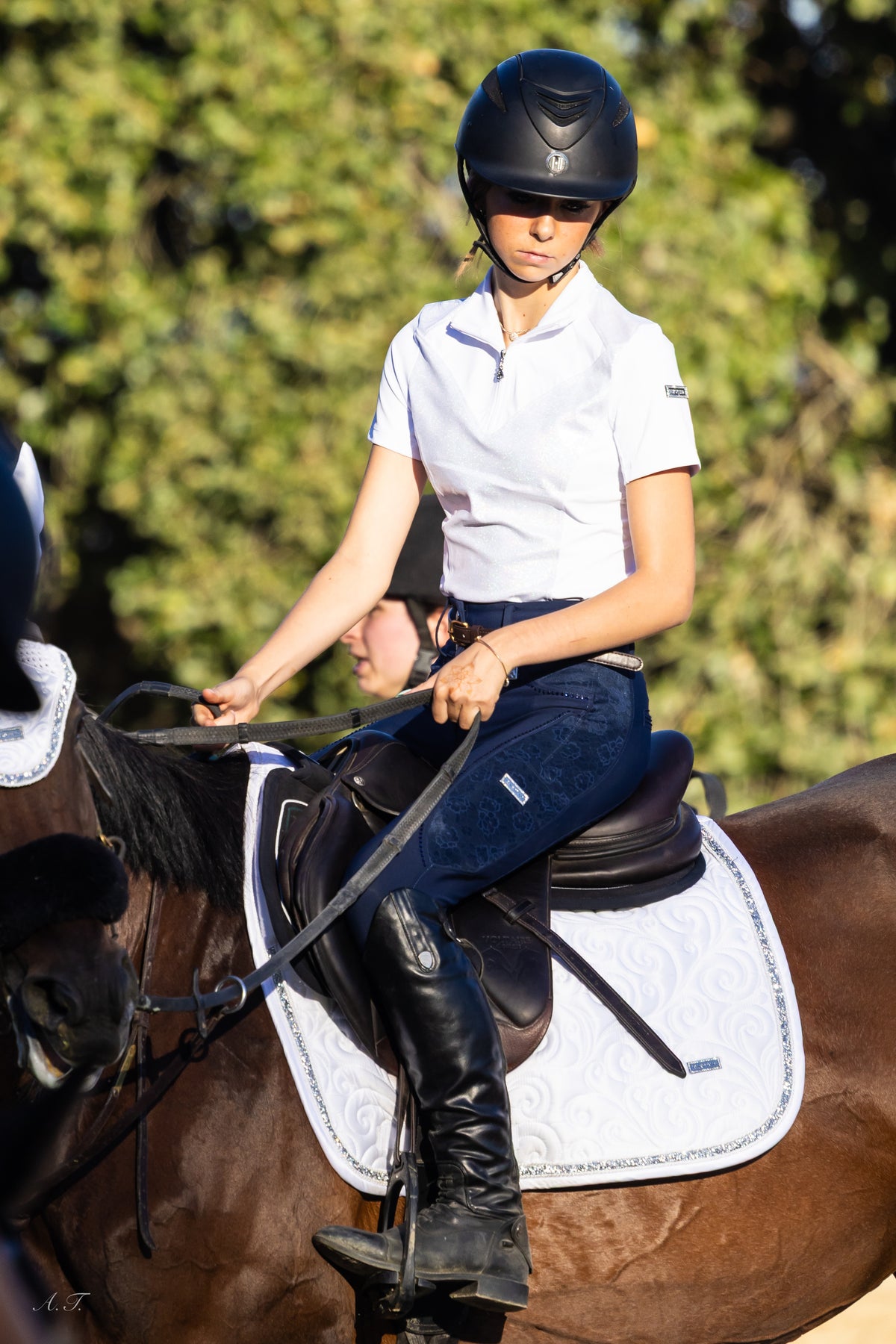 Fairytale Regal Breeches - Navy