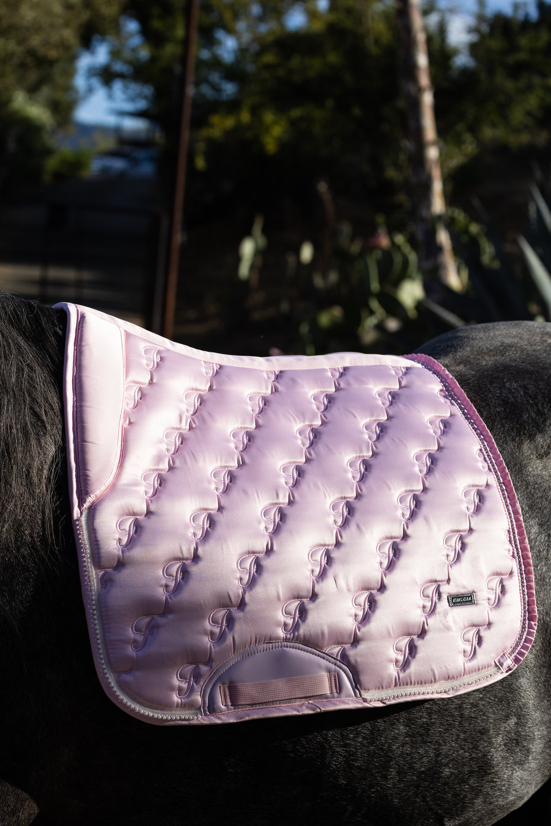 Fairytale Signature Monogram Dressage Pad