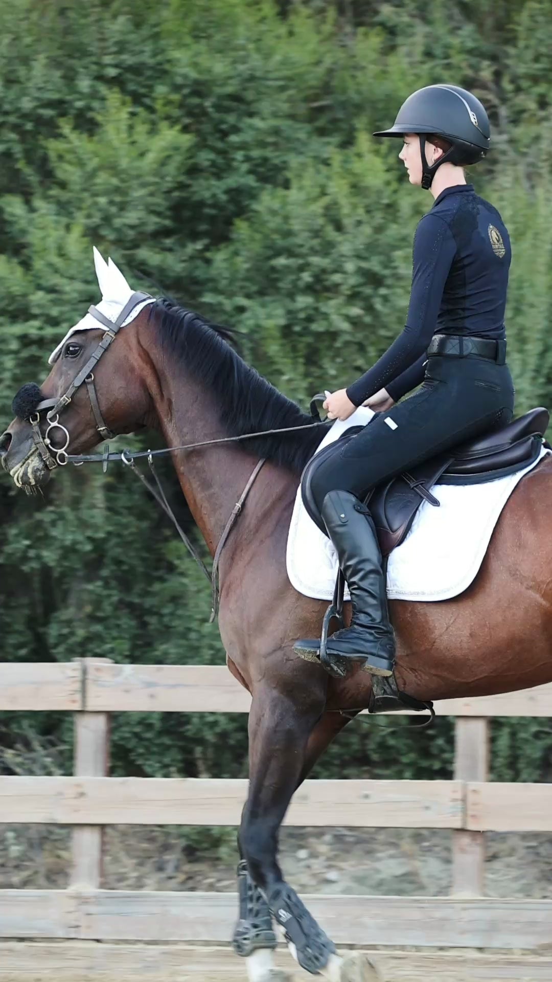 Fairytale Regal Breeches - Black